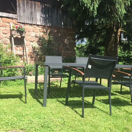 شقة Meubles De Tourisme Heidelbeere Dambach المظهر الخارجي الصورة