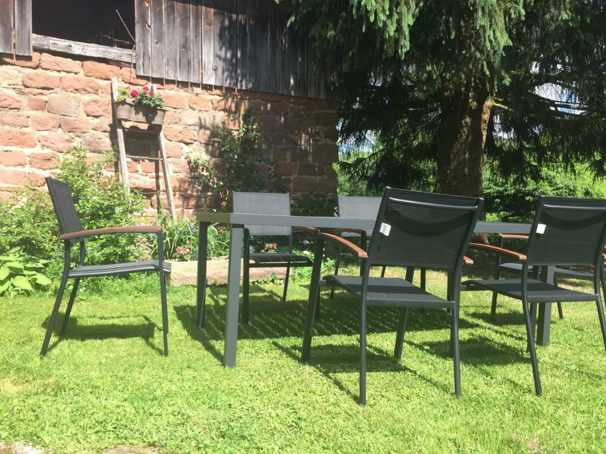 شقة Meubles De Tourisme Heidelbeere Dambach المظهر الخارجي الصورة