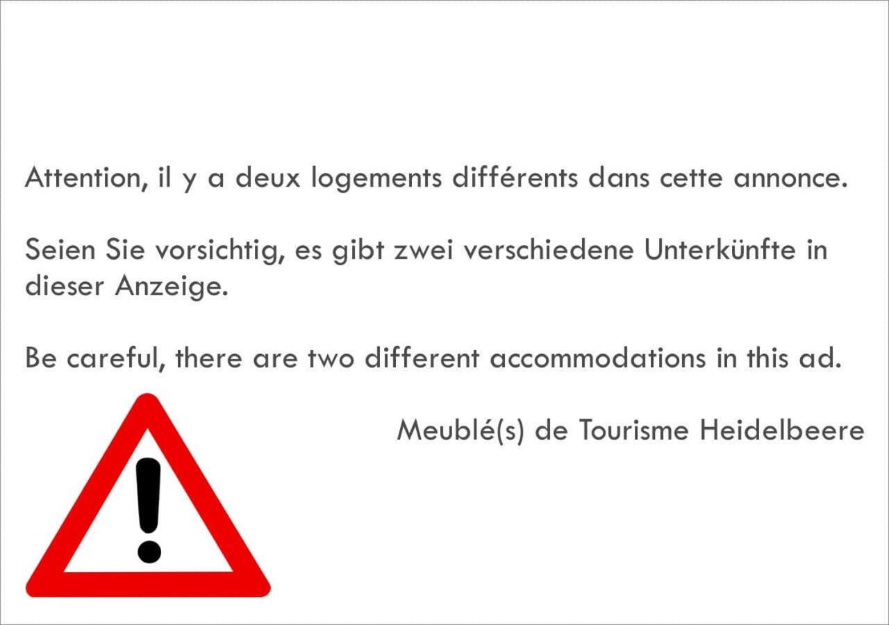 شقة Meubles De Tourisme Heidelbeere Dambach المظهر الخارجي الصورة