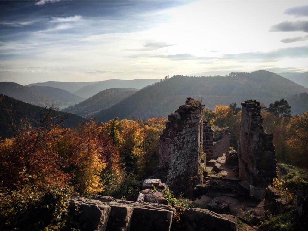 شقة Meubles De Tourisme Heidelbeere Dambach المظهر الخارجي الصورة