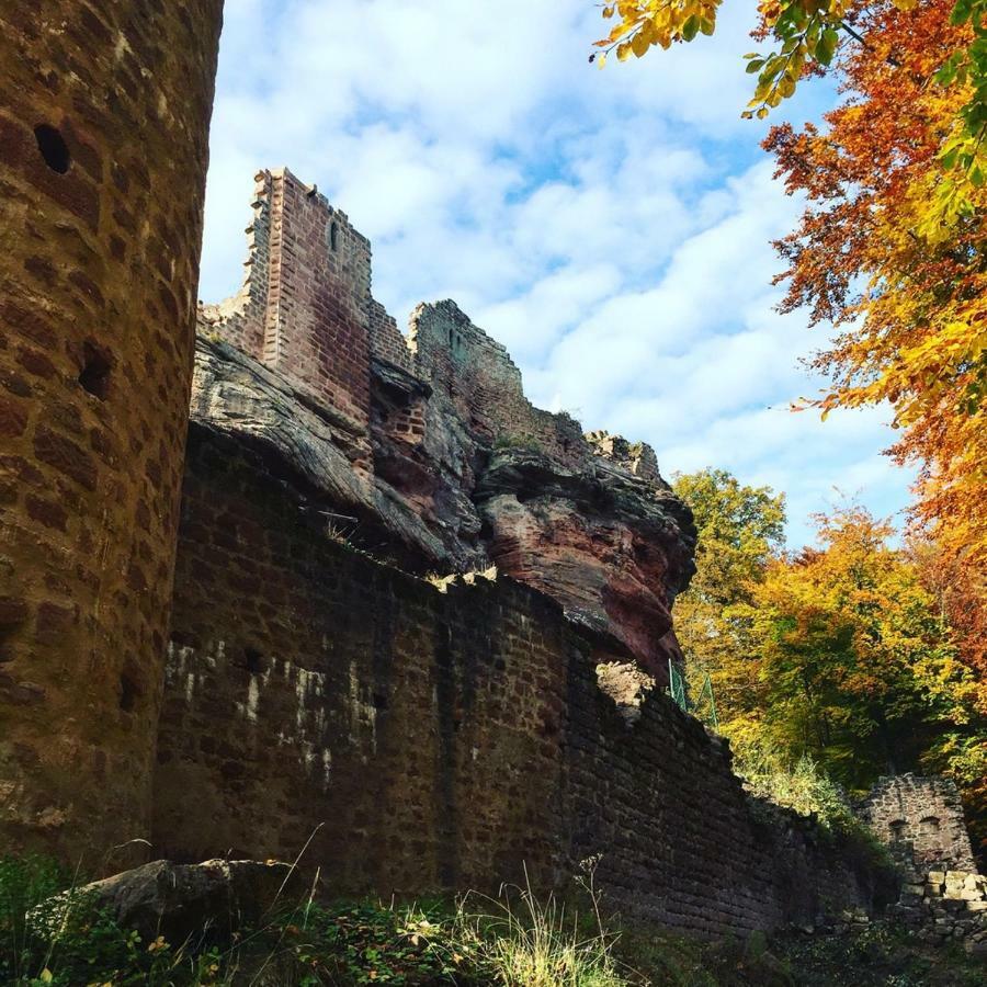 شقة Meubles De Tourisme Heidelbeere Dambach المظهر الخارجي الصورة